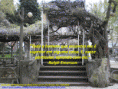 /album/galeria-de-fotos/aprender-com-outros-gif/